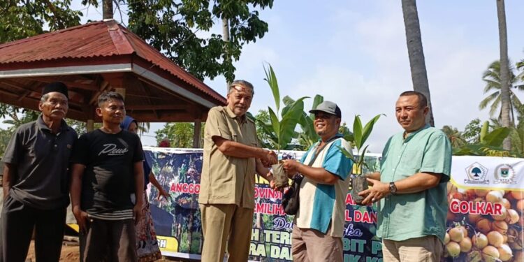 SERAHKAN PULUHAN RIBU BIBIT PINANG BATARA, ZARFI DESON TUAI PUJIAN DAN DUKUNGAN PETANI PESSEL