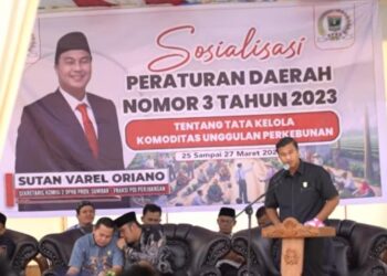Sutan Varel Gelar Sosper Tata Kelola Komoditas Unggulan Perkebunan di Dharmasraya