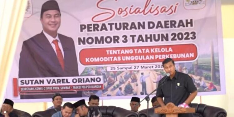 Sutan Varel Gelar Sosper Tata Kelola Komoditas Unggulan Perkebunan di Dharmasraya