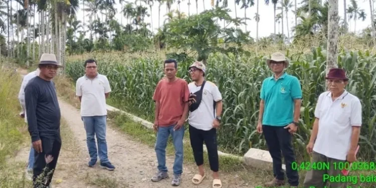 Ketua Komisi II DPRD Sumbar Tinjau Lokasi Rencana Pembangunan Jalan di Nagari Tarung-Tarung Selatan