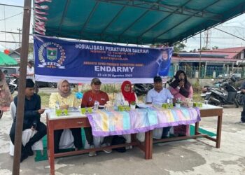 Endarmy Sosialisasikan Perda Kepemudaan di Padang Pariaman
